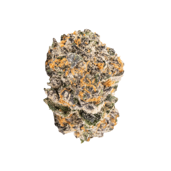 Black Cherry Gelato - Image 2