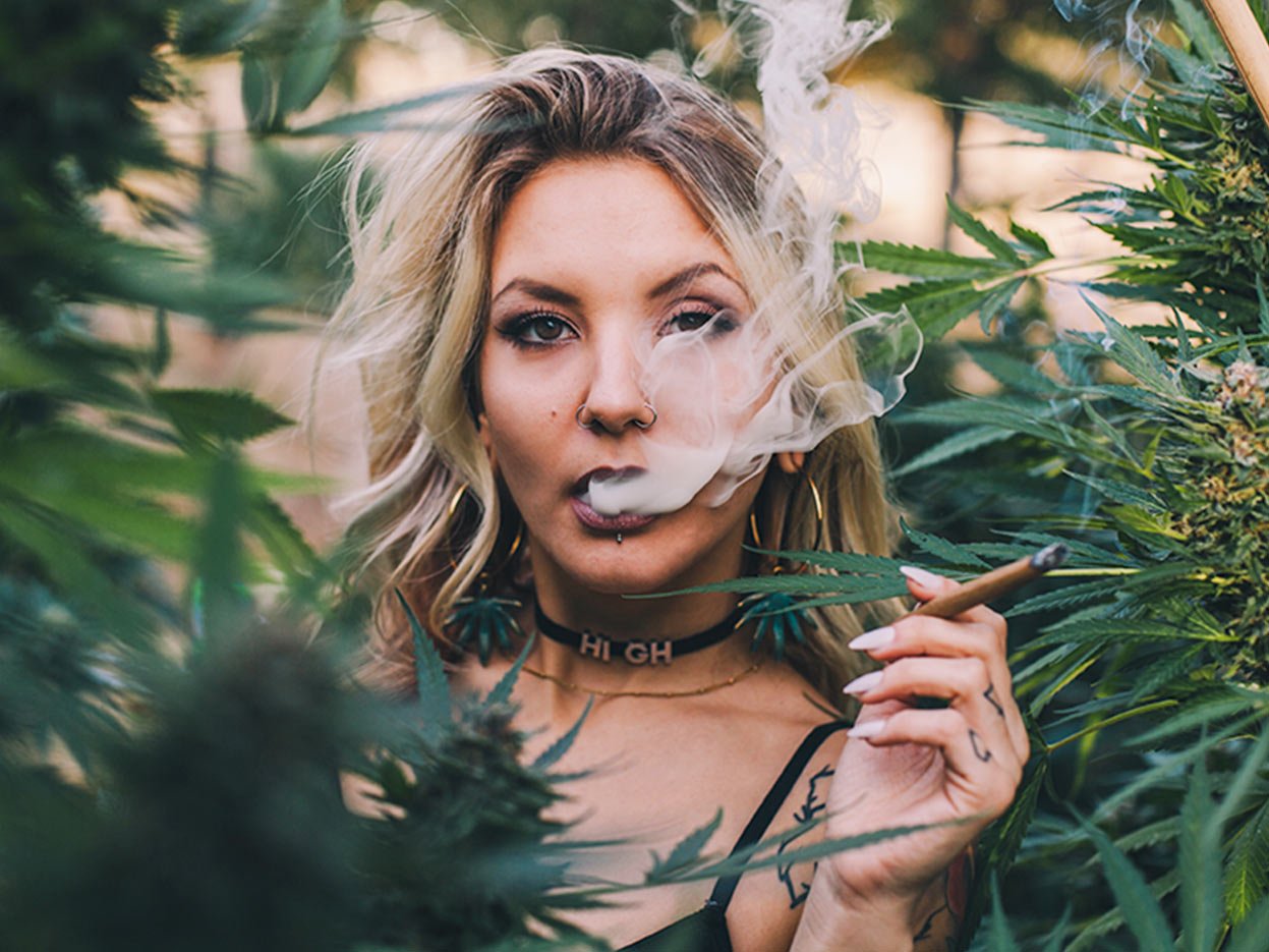 Laughing Gas Strain